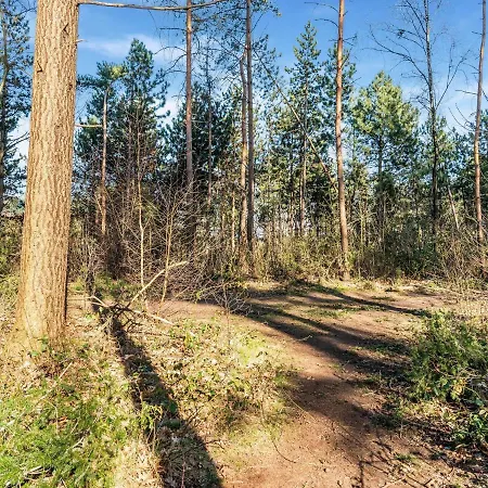 Stylish In Near The Forest Holiday home *